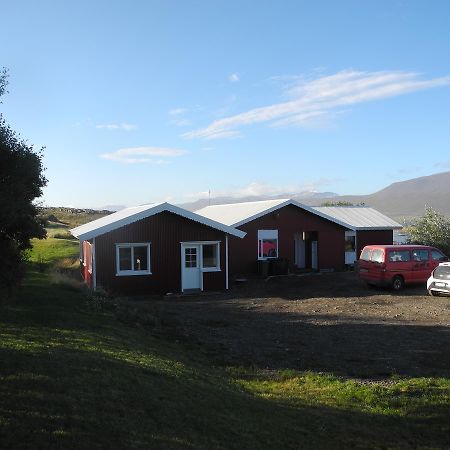 Icelandhorsetours - Helluland Saudarkrokur Eksteriør billede