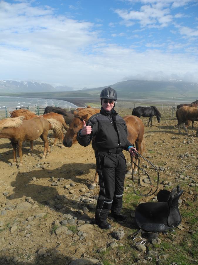 Icelandhorsetours - Helluland Saudarkrokur Eksteriør billede