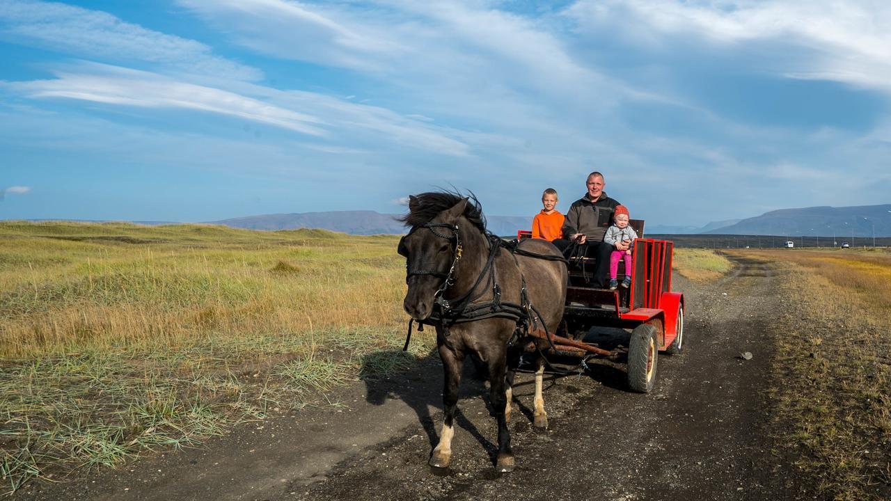 Icelandhorsetours - Helluland Saudarkrokur Eksteriør billede