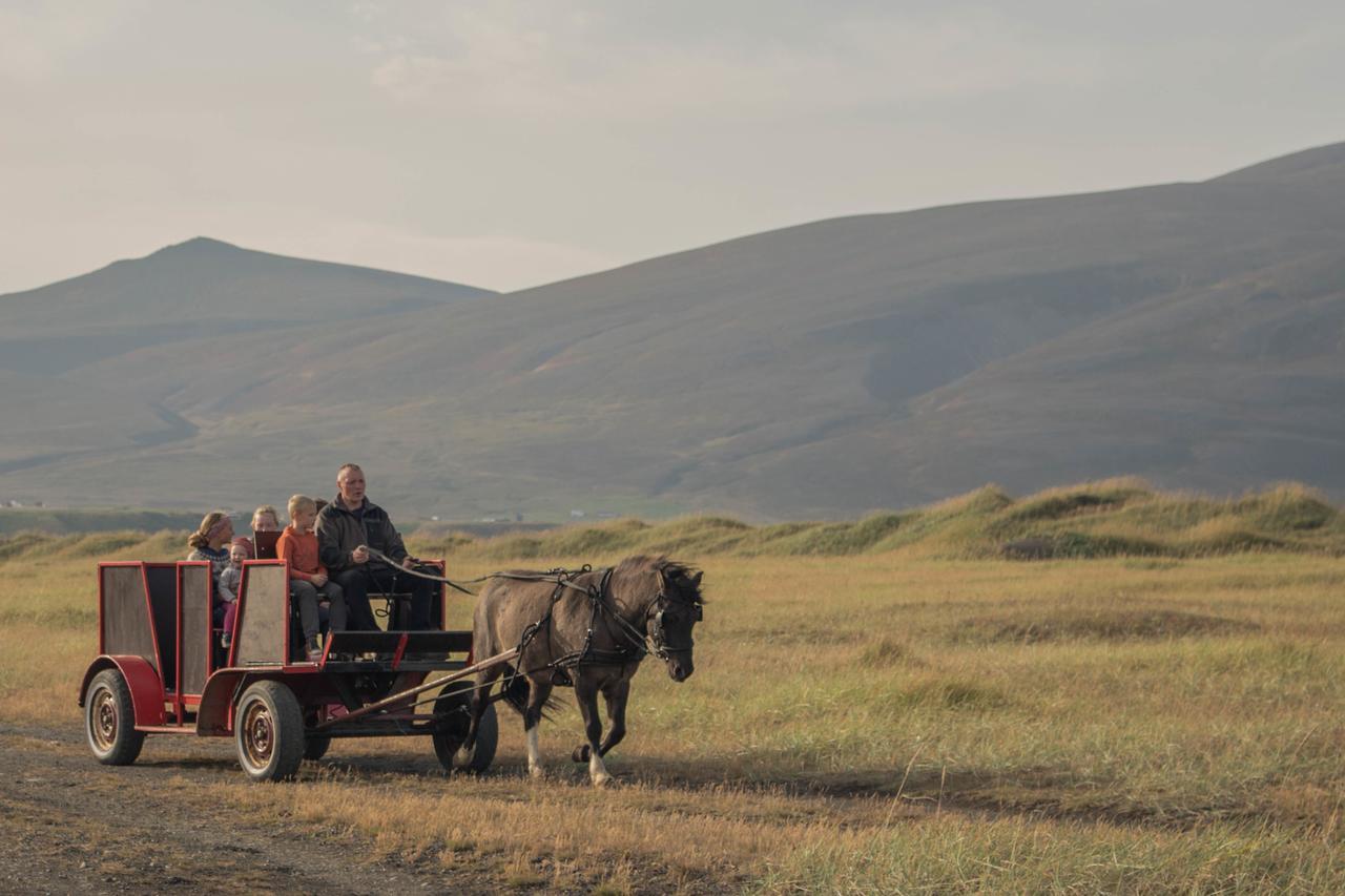 Icelandhorsetours - Helluland Saudarkrokur Eksteriør billede